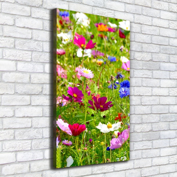 Canvas wall art Field flowers