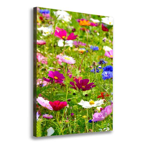 Canvas wall art Field flowers