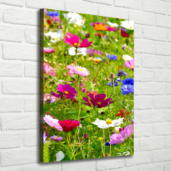 Canvas wall art Field flowers