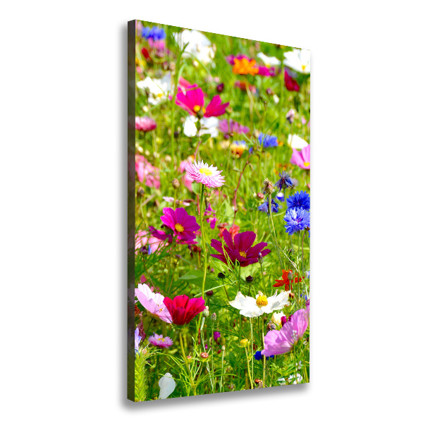 Canvas wall art Field flowers