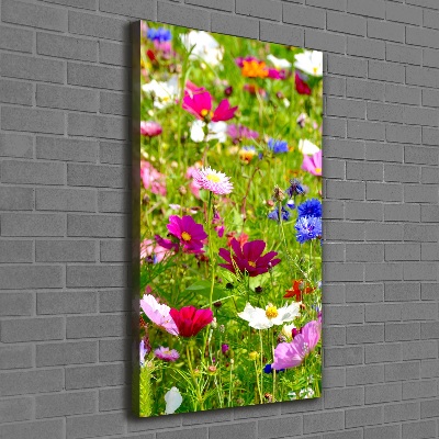 Canvas wall art Field flowers