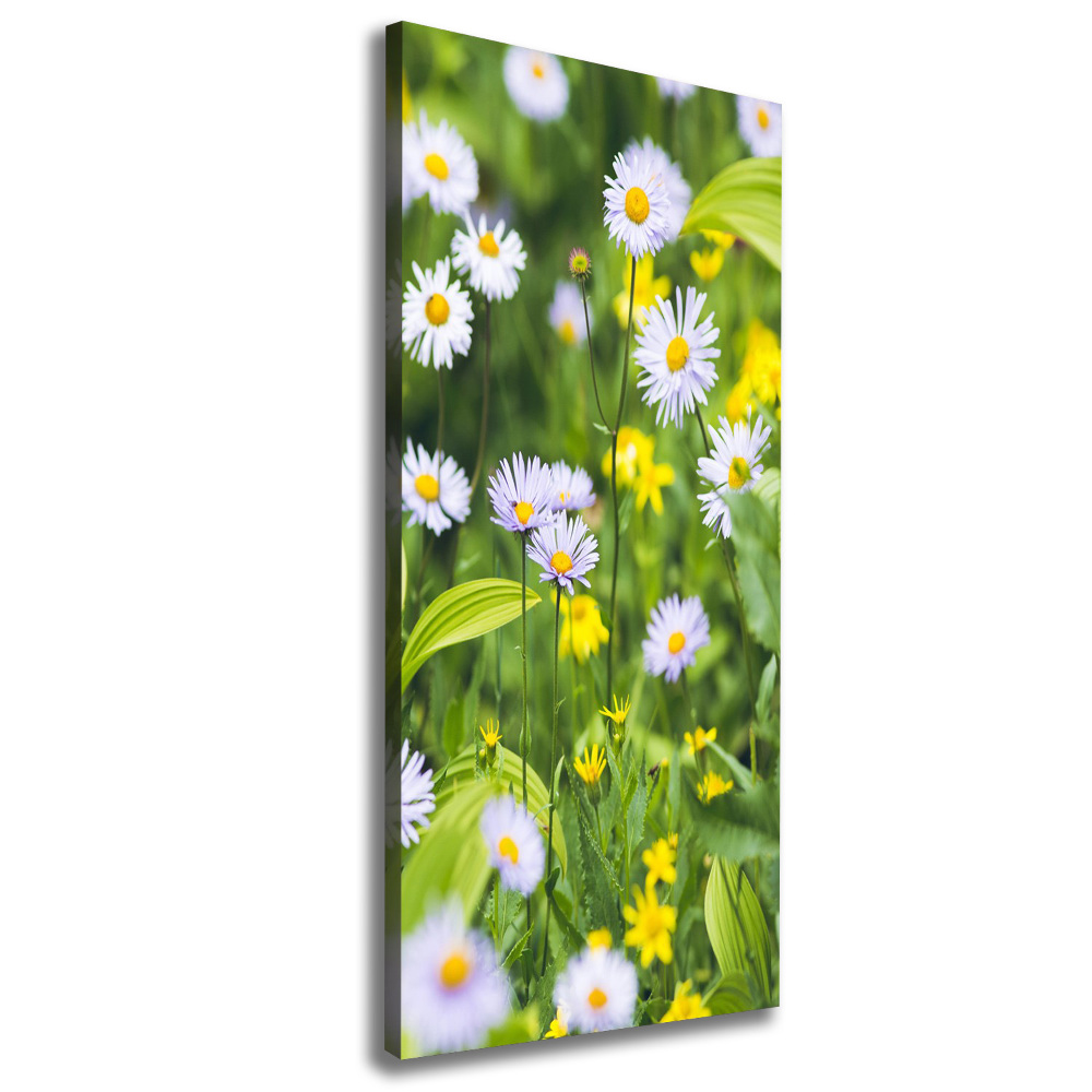 Canvas wall art Daisy