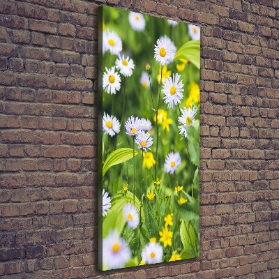 Canvas wall art Daisy