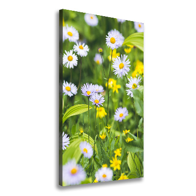 Canvas wall art Daisy