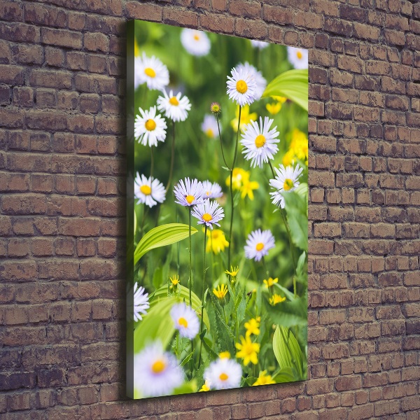 Canvas wall art Daisy