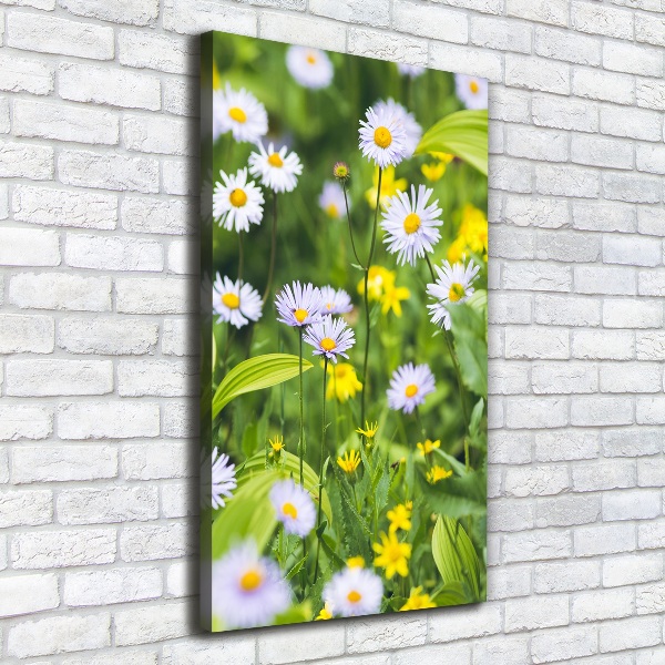 Canvas wall art Daisy