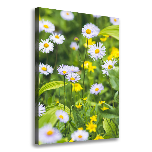 Canvas wall art Daisy