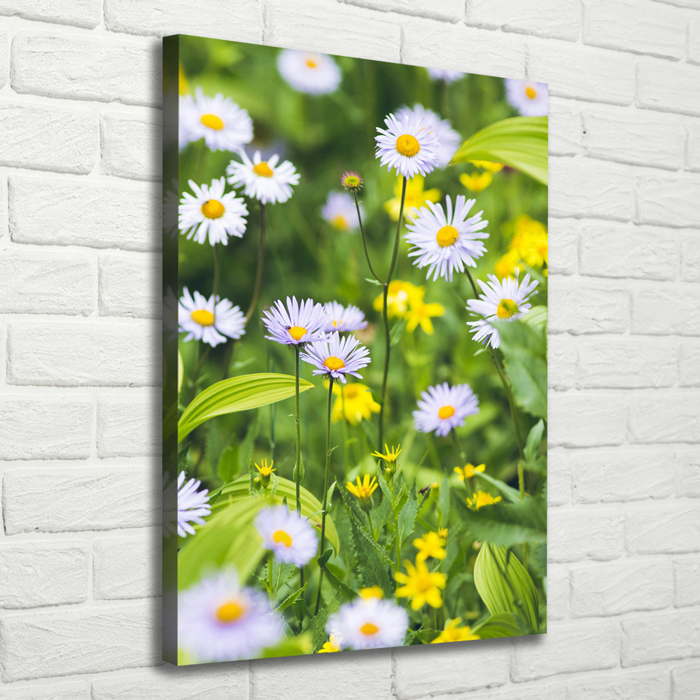 Canvas wall art Daisy