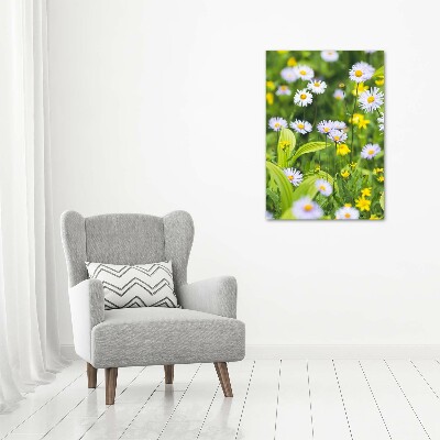 Canvas wall art Daisy