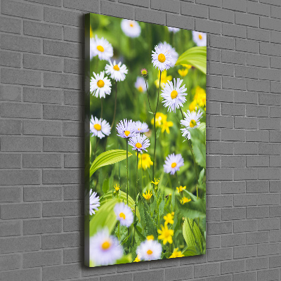 Canvas wall art Daisy