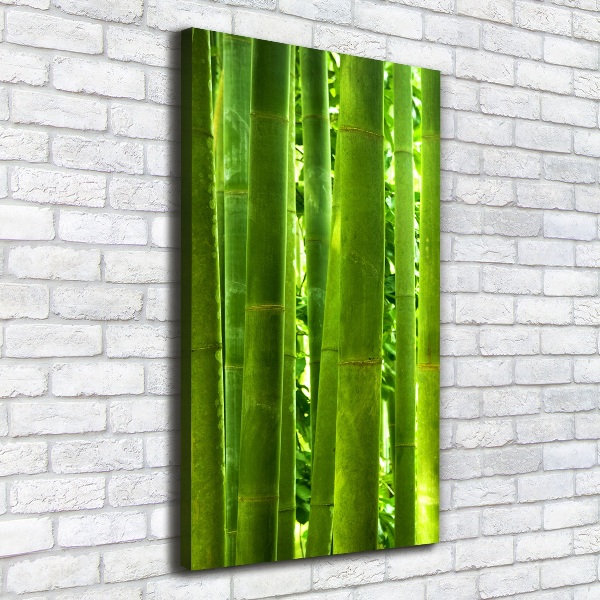 Canvas wall art Bamboo