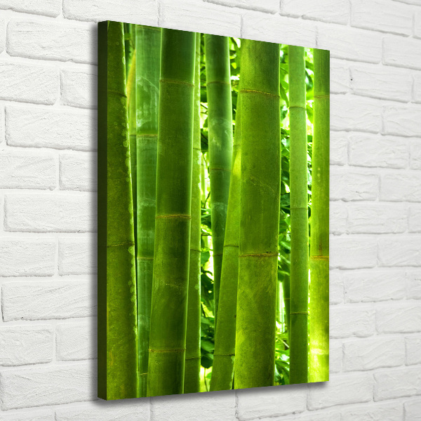 Canvas wall art Bamboo