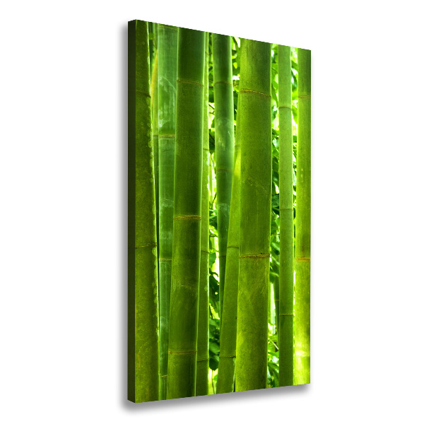 Canvas wall art Bamboo