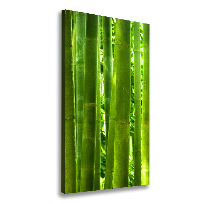 Canvas wall art Bamboo