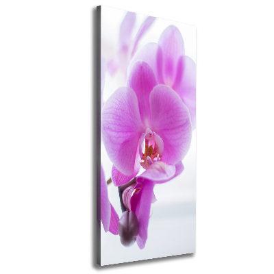 Canvas print Pink orchid