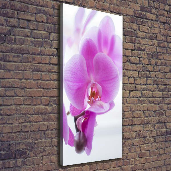 Canvas print Pink orchid