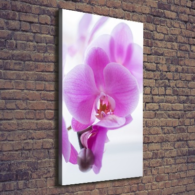 Canvas print Pink orchid