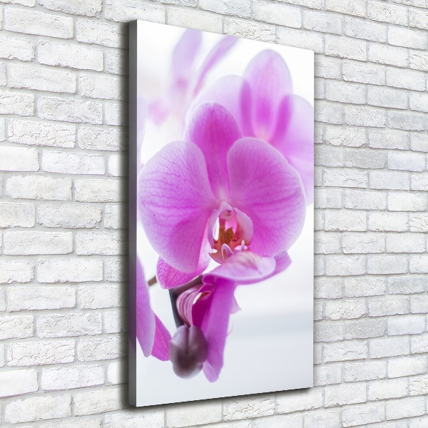 Canvas print Pink orchid