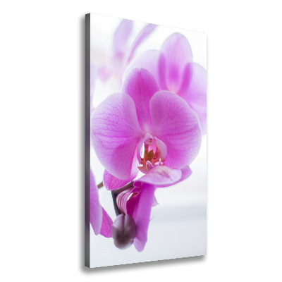 Canvas print Pink orchid