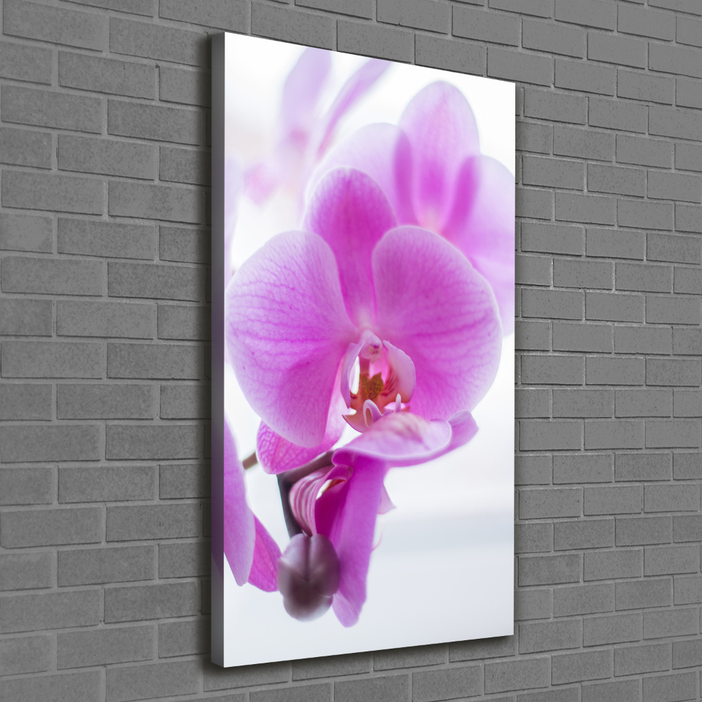 Canvas print Pink orchid