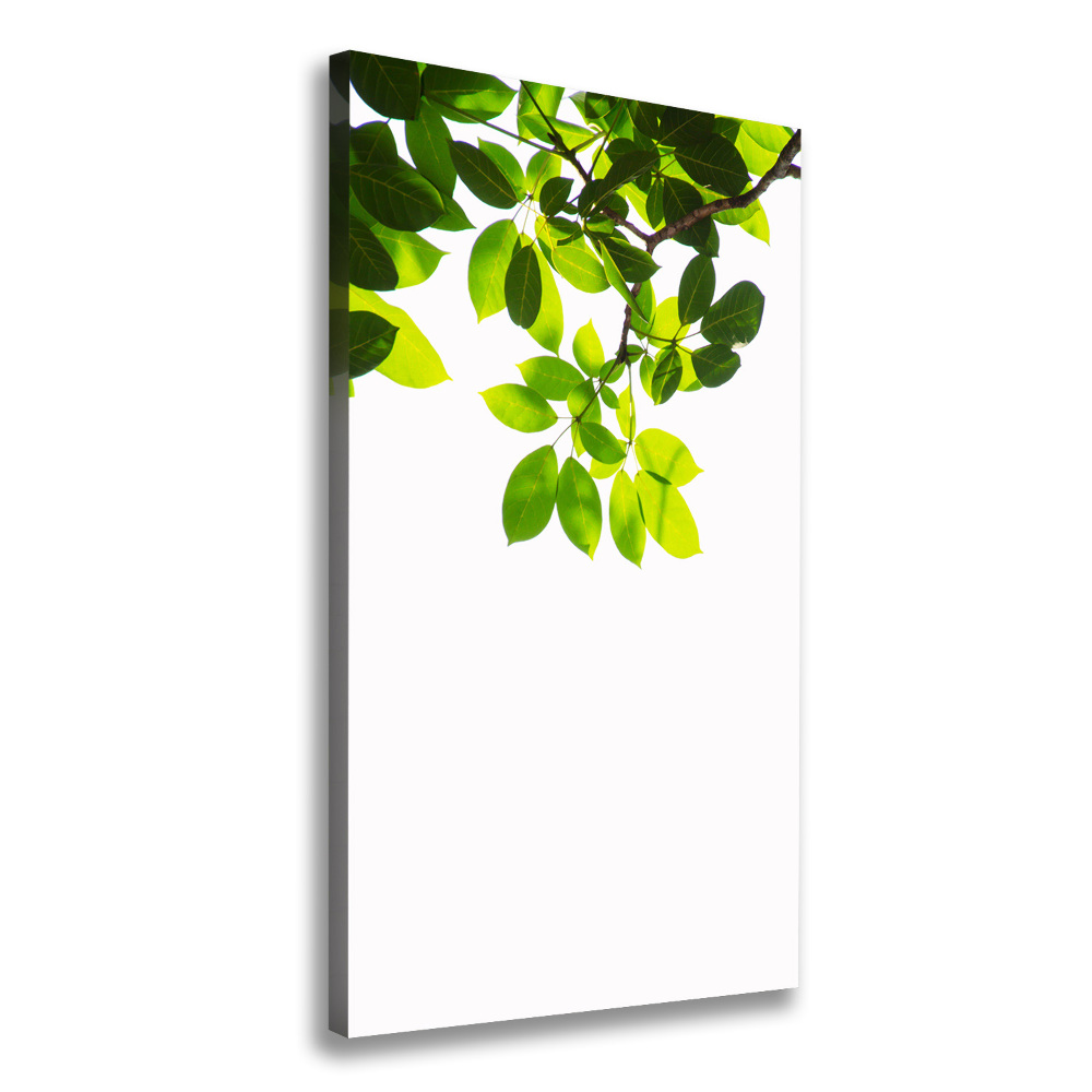 Wall art canvas large Green leaves