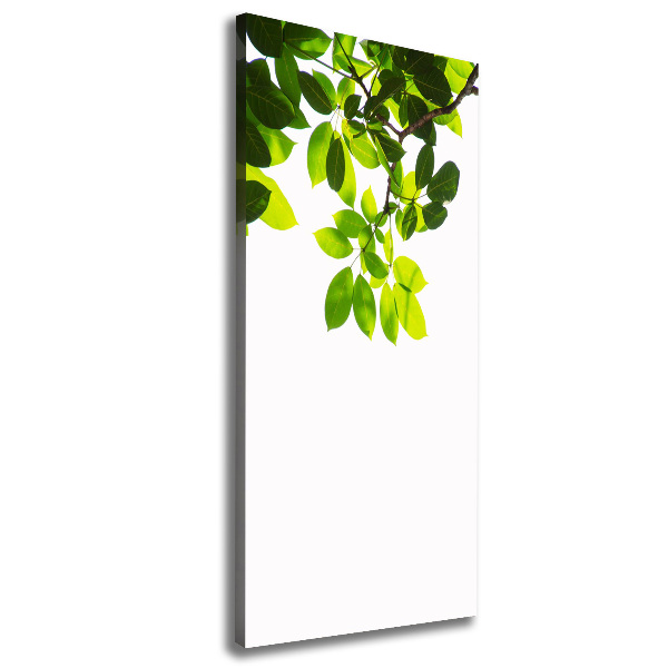 Wall art canvas large Green leaves