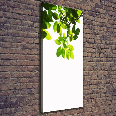 Wall art canvas large Green leaves