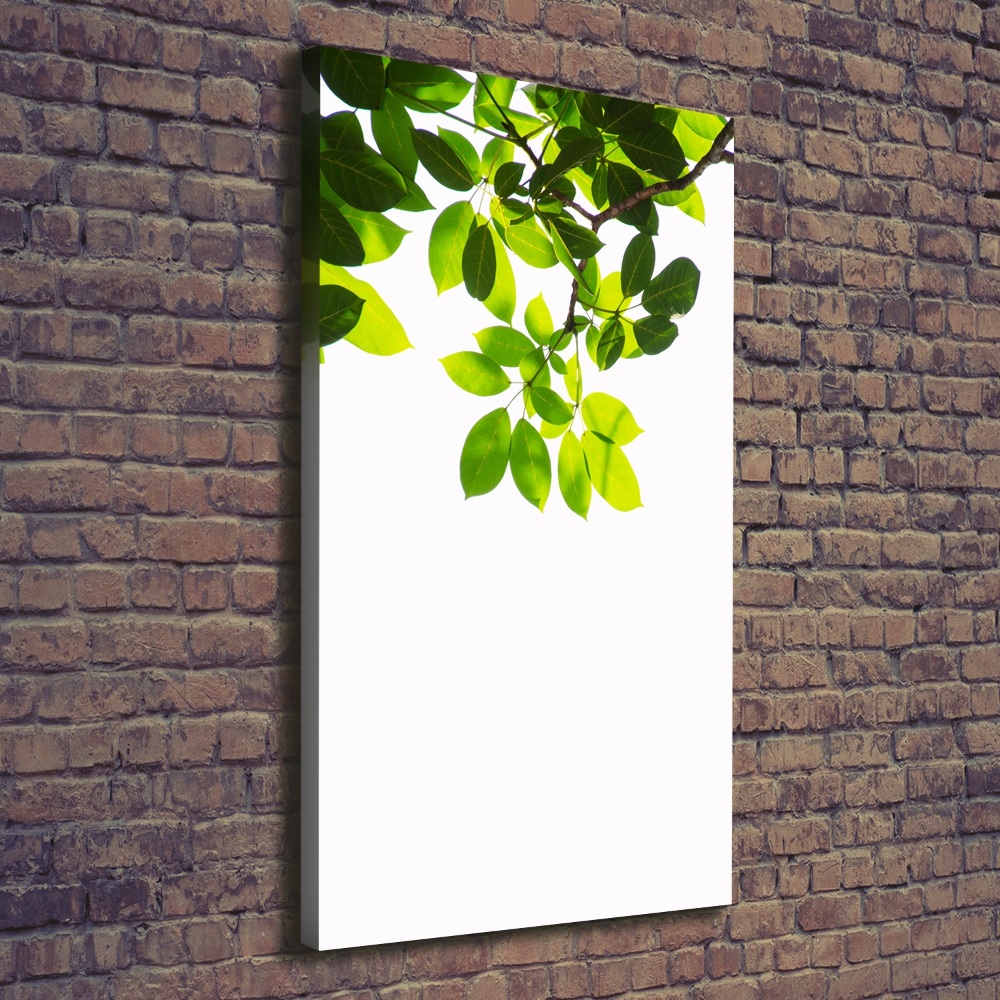 Wall art canvas large Green leaves