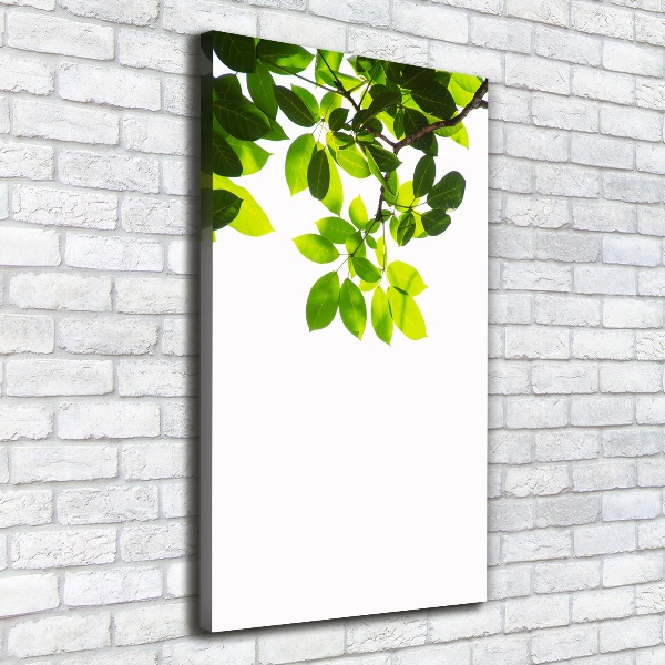 Wall art canvas large Green leaves