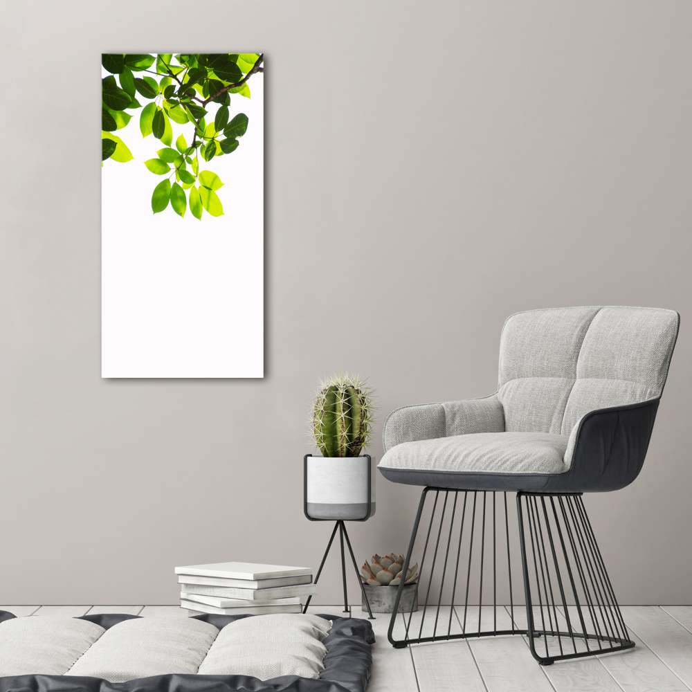 Wall art canvas large Green leaves