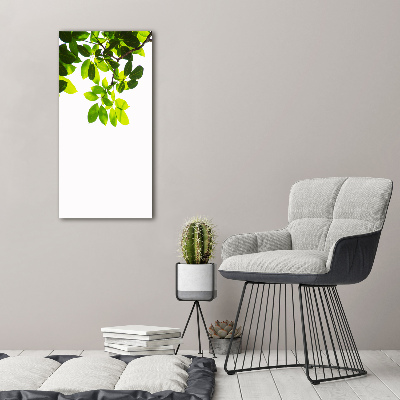 Wall art canvas large Green leaves