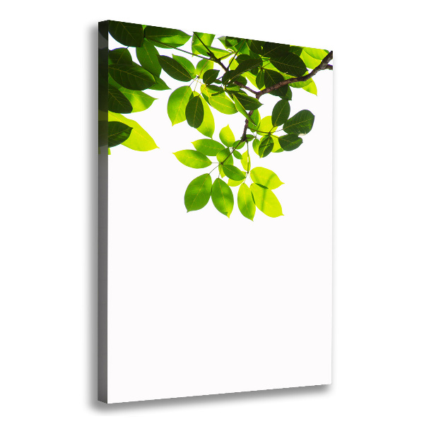 Wall art canvas large Green leaves