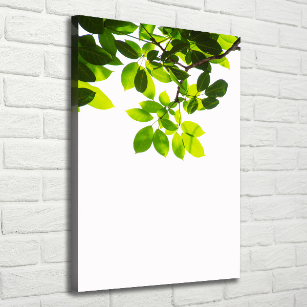 Wall art canvas large Green leaves