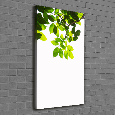 Wall art canvas large Green leaves