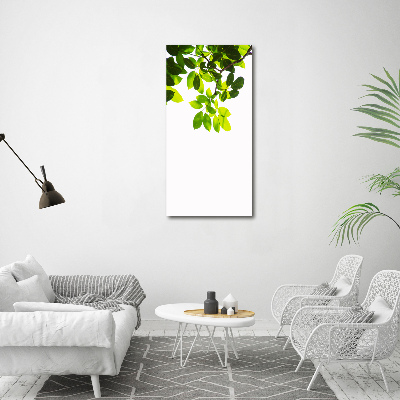 Wall art canvas large Green leaves