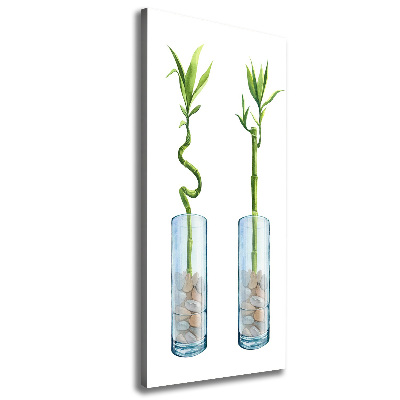 Large canvas wall art Bamboo in a pot