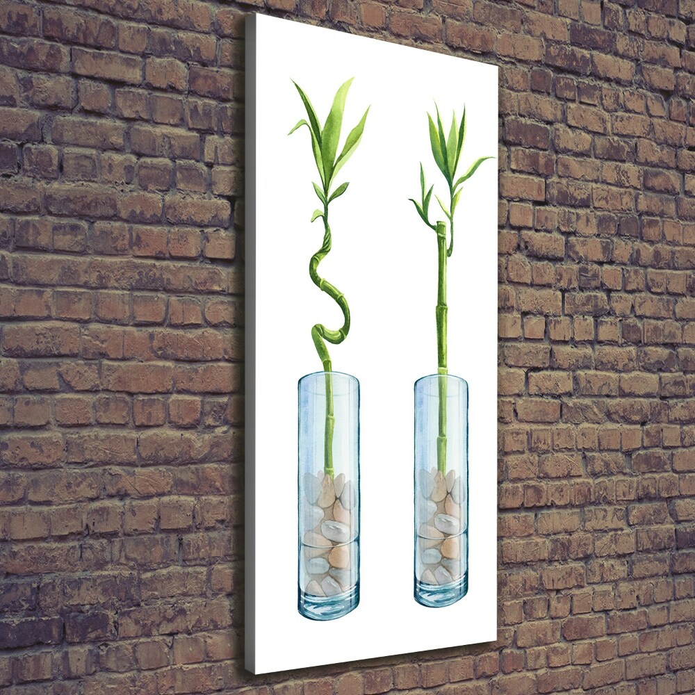 Large canvas wall art Bamboo in a pot