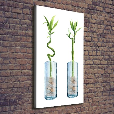 Large canvas wall art Bamboo in a pot