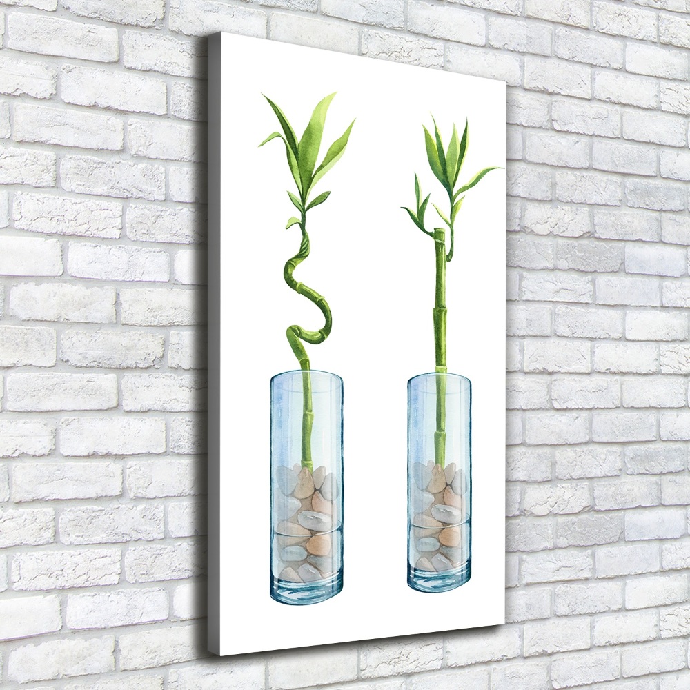 Large canvas wall art Bamboo in a pot