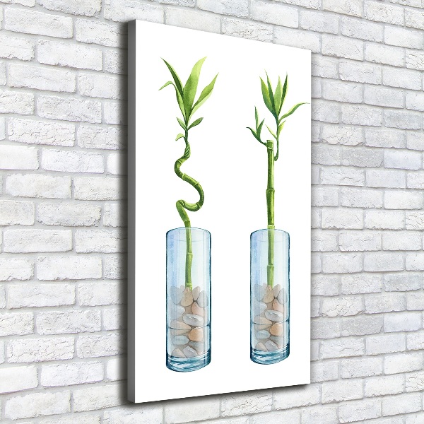 Large canvas wall art Bamboo in a pot