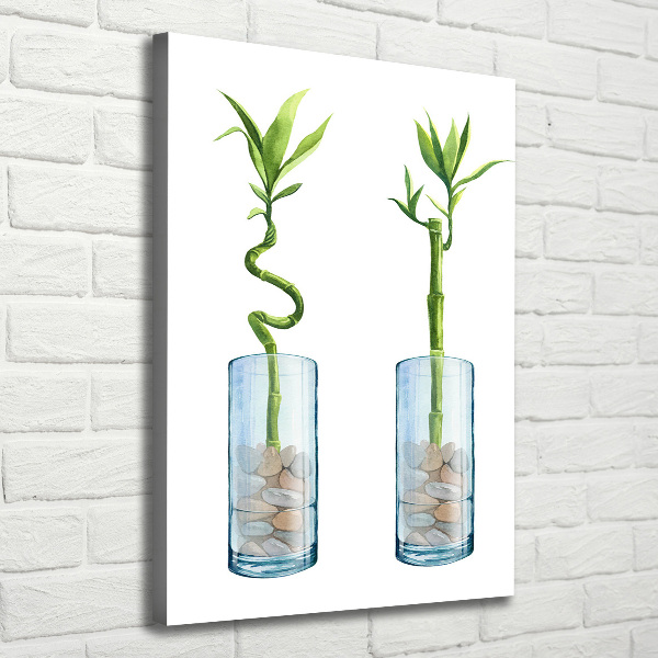 Large canvas wall art Bamboo in a pot