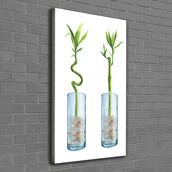 Large canvas wall art Bamboo in a pot