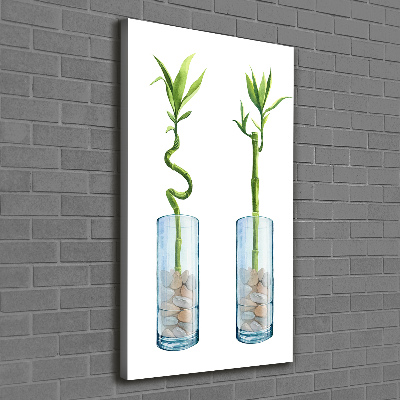 Large canvas wall art Bamboo in a pot