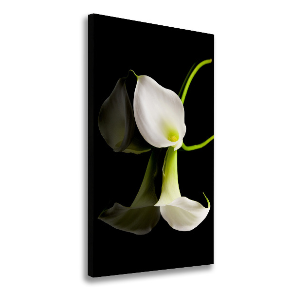 Large canvas wall art White cal