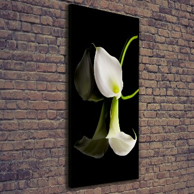 Large canvas wall art White cal