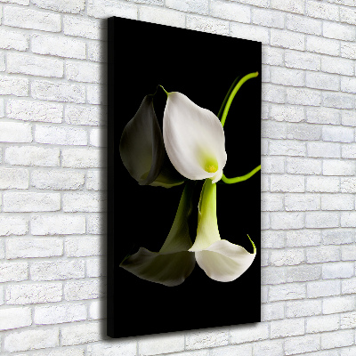 Large canvas wall art White cal