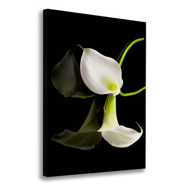 Large canvas wall art White cal