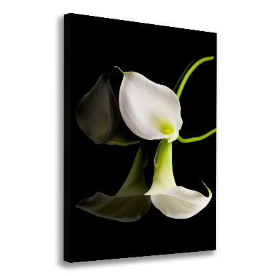 Large canvas wall art White cal