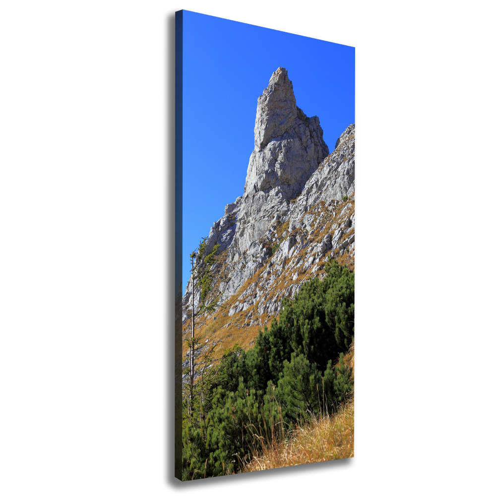 Canvas wall art Little Giewont Tatry