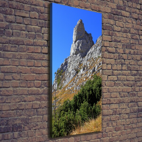 Canvas wall art Little Giewont Tatry